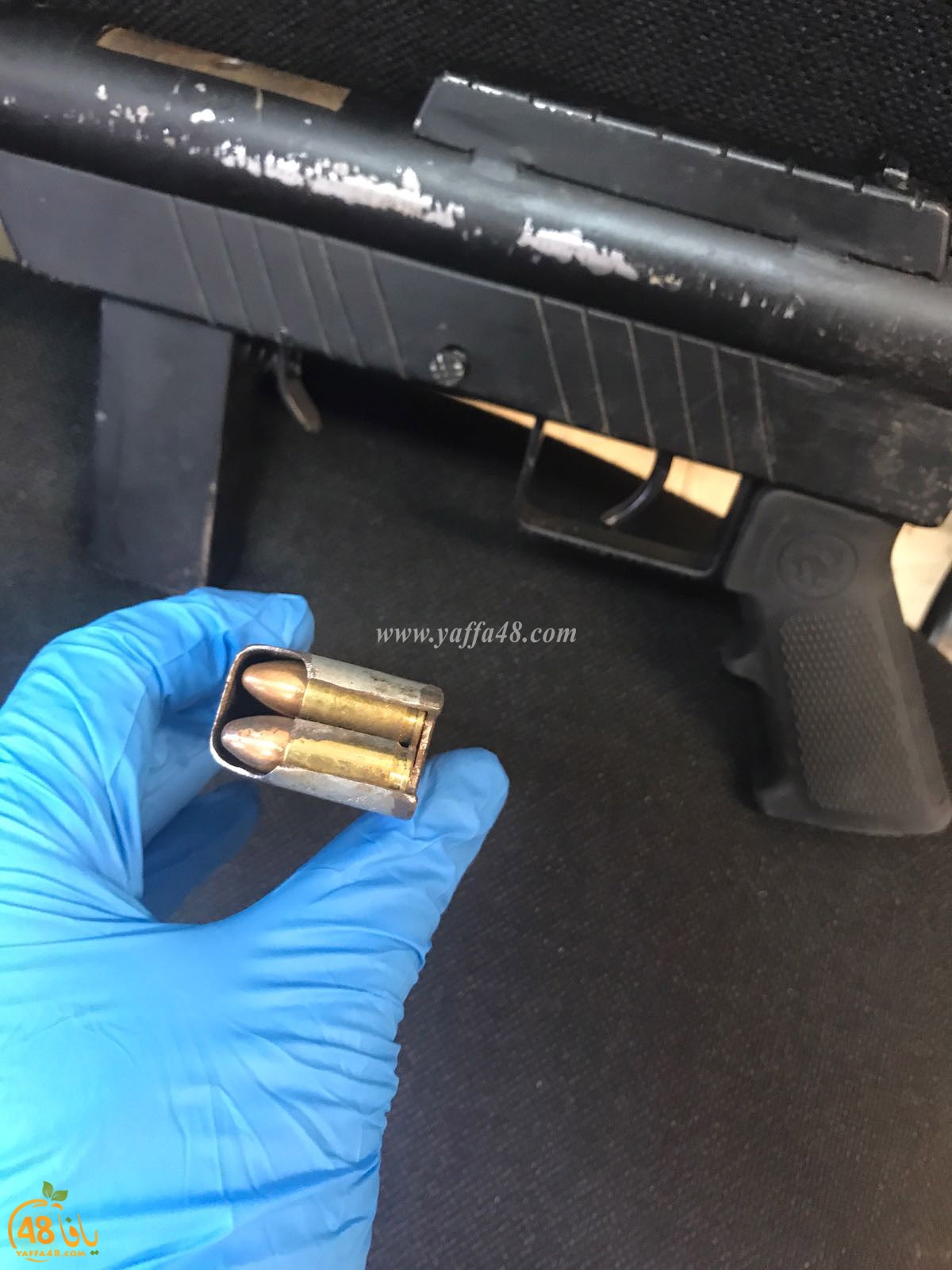 karl gostaveej (5).jpg